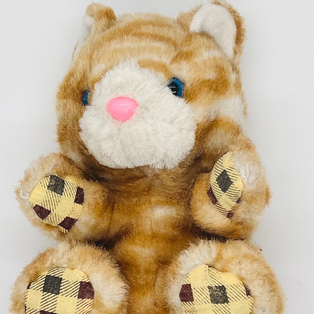 Teddy Cat , Small